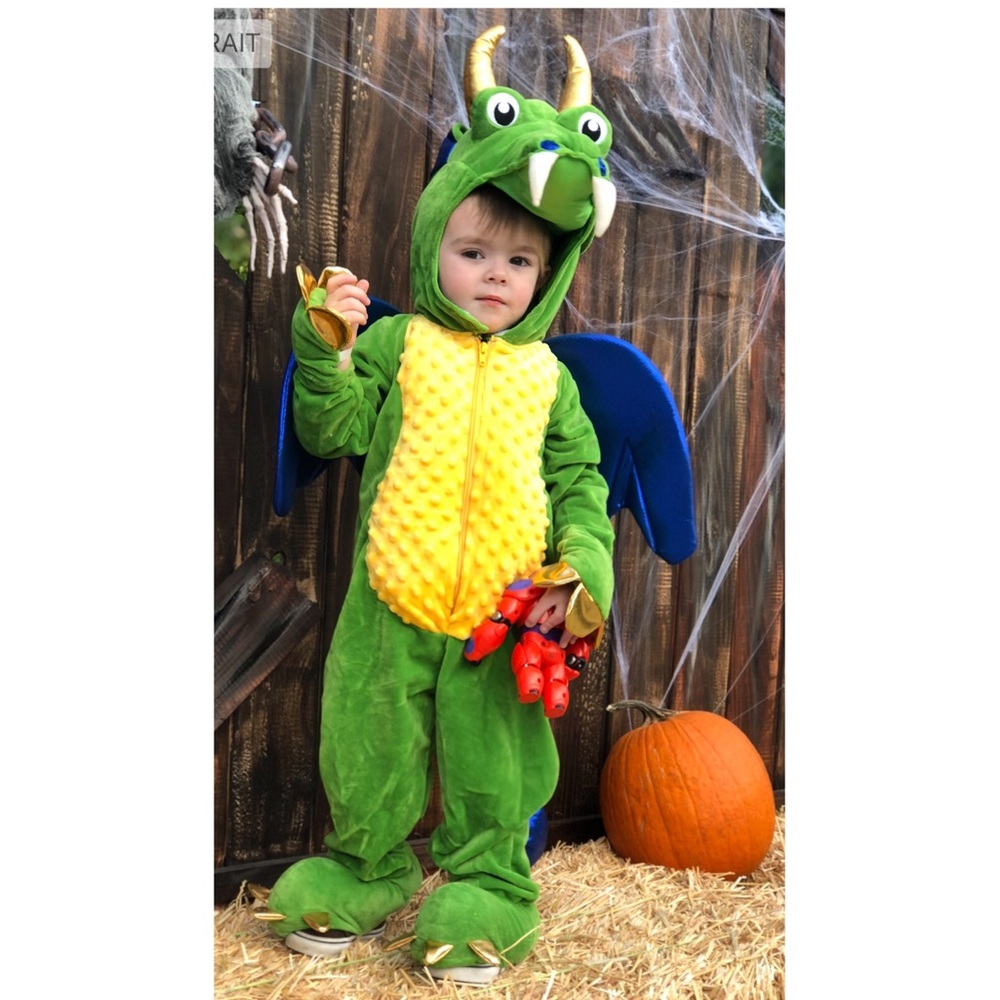 Dragon costume